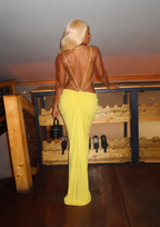 Da Vinci Dress